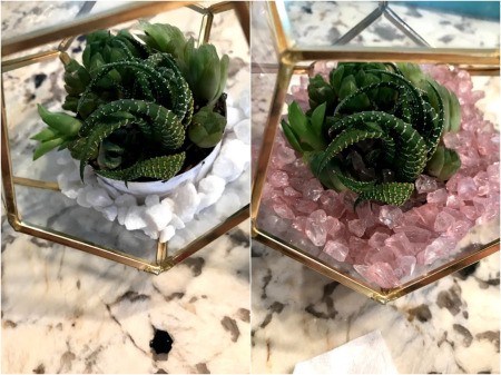 How to Make a Plant Terrarium - one with pink glass stones on top of white ones
