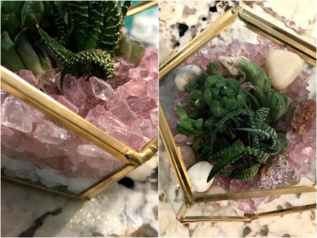 How to Make a Plant Terrarium - beginning to add larger decorative stones