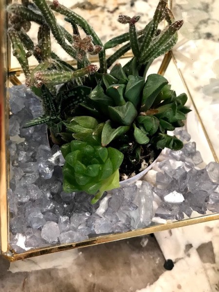 How to Make a Plant Terrarium - clear stones added to other planting