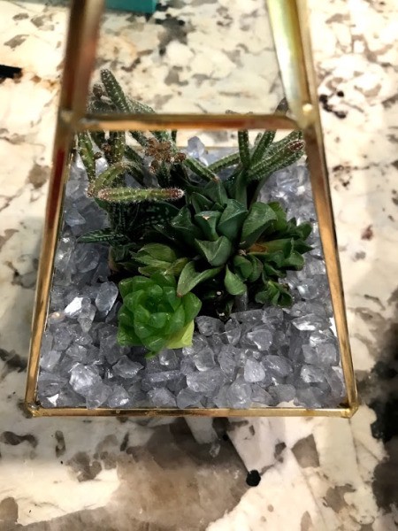 How to Make a Plant Terrarium - filled to top of cup