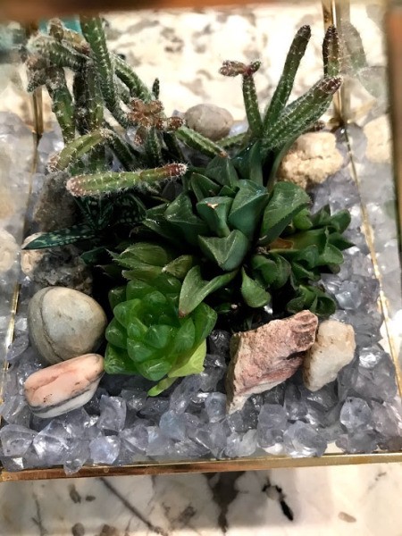 How to Make a Plant Terrarium - then natural stones of differing colors added