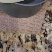 Identifying Tiny Bugs - tiny bug on towel