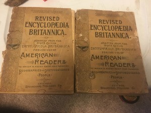 Value of Volume 18 of the 1891 Revised Encyclopaedia Britannica - two copies of this volume
