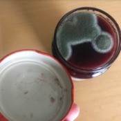 A jar of jam that is moldy.