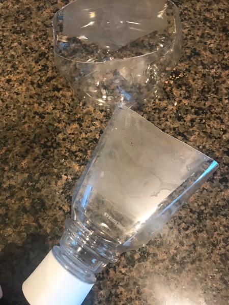 Repupose Mouthwash Container into a Planter - cut bottle