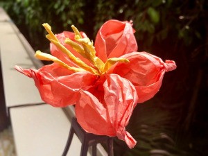 Making Tissue Paper Puffy Flowers - one puffy tissue paper flower