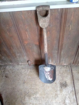 Painting on a Shovel Head Getting Dull - old wood handled shovel with cow painted on shovel head