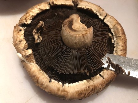 removing fins and stem of mushroom