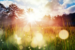 A scenic view with lens flares.