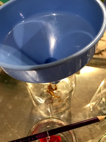 Growing Borax Crystals - pour mixture into the jars