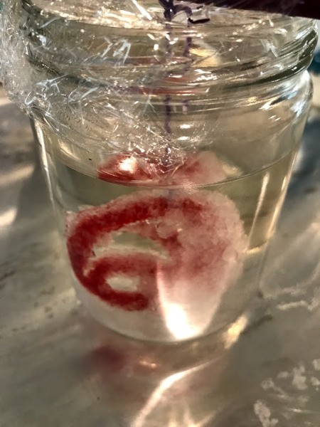 Growing Borax Crystals - store in a safe spot and watch crystals begin to form