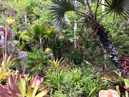 Blue Dragonfly at San Diego Botanic Garden