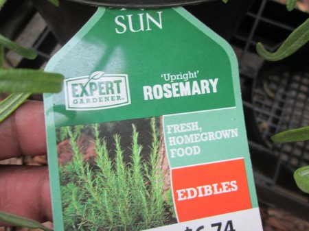 Rosemary Is Not Just For Cooking