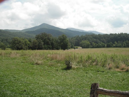 Cades Cove Tennessee