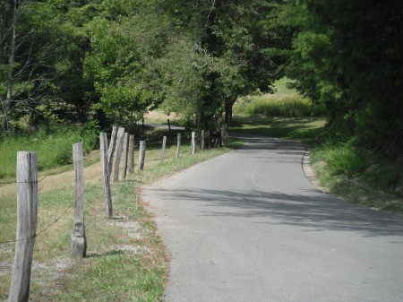 Cades Cove Tennessee