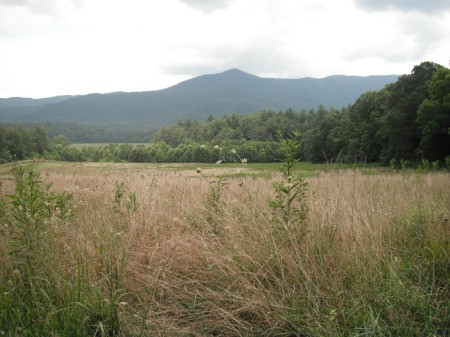 Cades Cove Tennessee