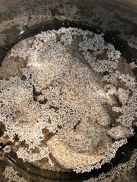 water added to Quinoa in Instant Pot