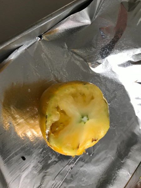 cut top on Tomato