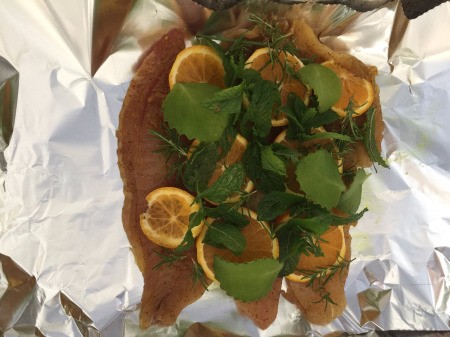 seasoned Rockfish with lemon slices & herbs
