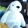 Seeking Replacement for Lost Bunny - white stuffed bunny