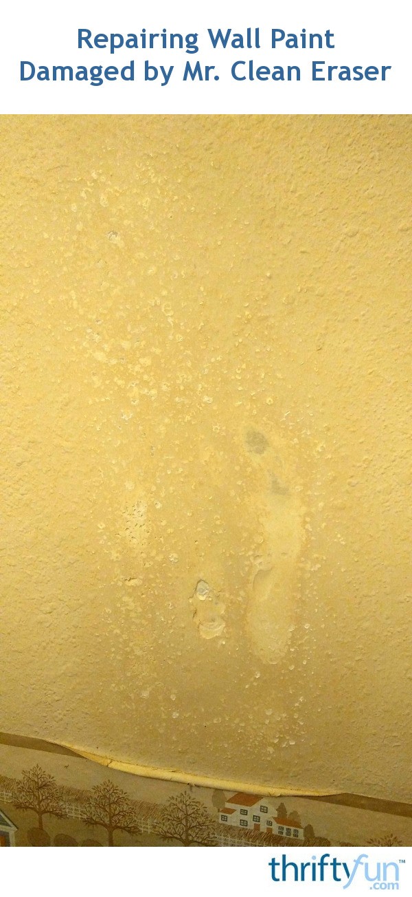 Repairing Wall Paint Damaged by Mr. Clean Eraser? ThriftyFun