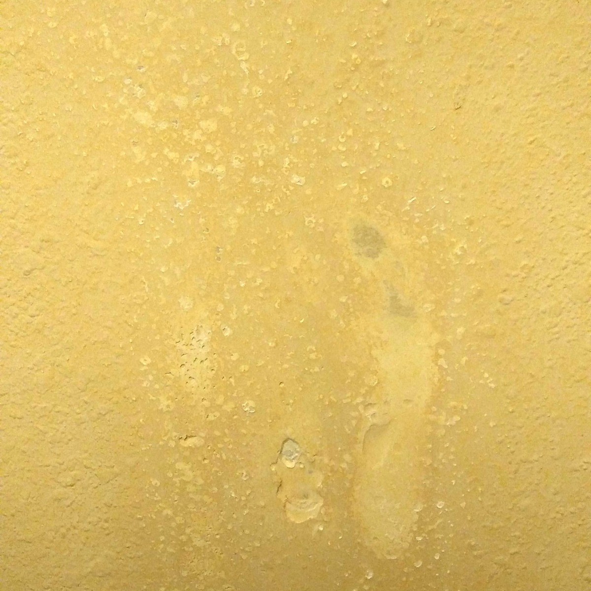 Repairing Wall Paint Damaged by Mr. Clean Eraser? | ThriftyFun