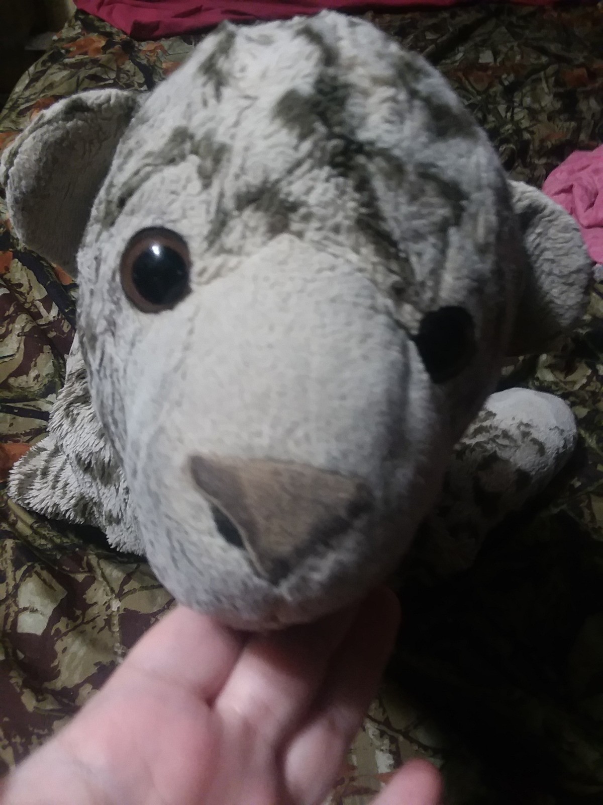 identifying-an-old-stuffed-animal-thriftyfun