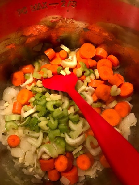 Icarrots & celery added to instant pot