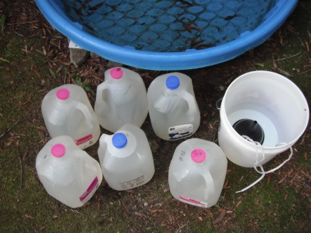 Catch Rain Water for Plants in a Baby Pool - milk jugs, buckets, and pool