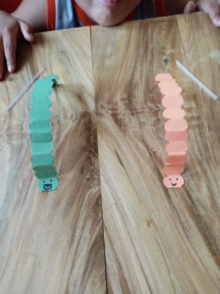 Making a Paper Worm Race Game - get your straws and let the race begin