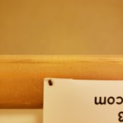 Identifying Household Bugs - bug on the corner of a piece of paper