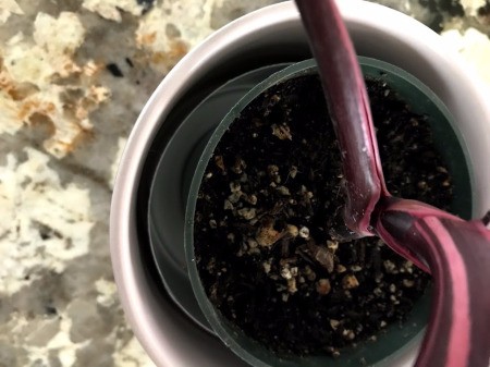 Hide the Plant Saucer Inside the Pot - plastic pot lowered into the ceramic planter
