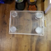 Raising My New Cat's Dishes -supplies
