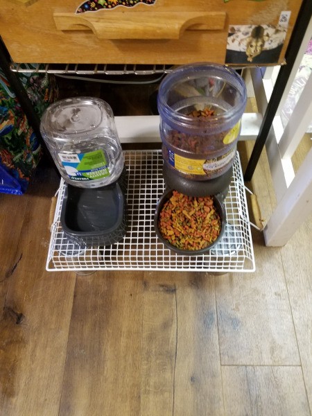 Raising My New Cat's Dishes - dishes on wire basket sitting on 4 cans