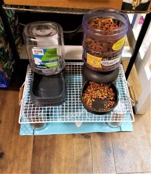 Raising My New Cat's Dishes - waterproof mat under the feeding station