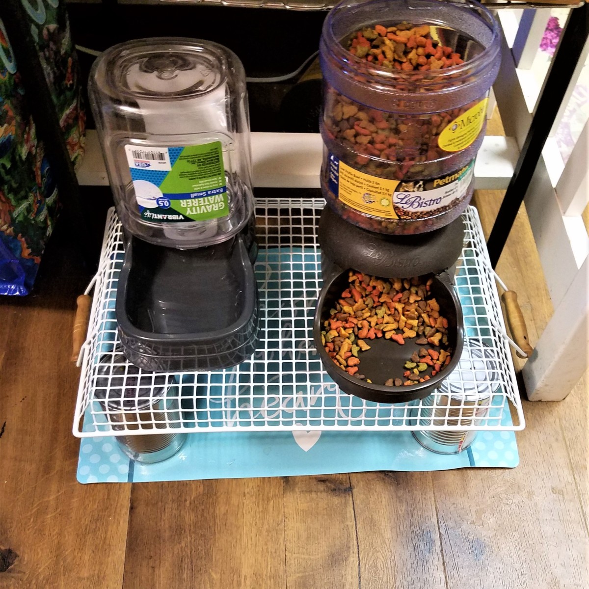 Raising Cat Dishes ThriftyFun