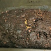 Chocolate Zucchini Bread in bread pan
