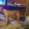 Is My Dog an American Pit Bull Terrier? - brown dog standing in front of the TV