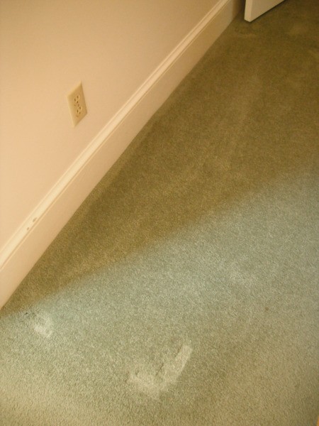 Cleaning a Bedroom By Yourself - vacuumed carpet