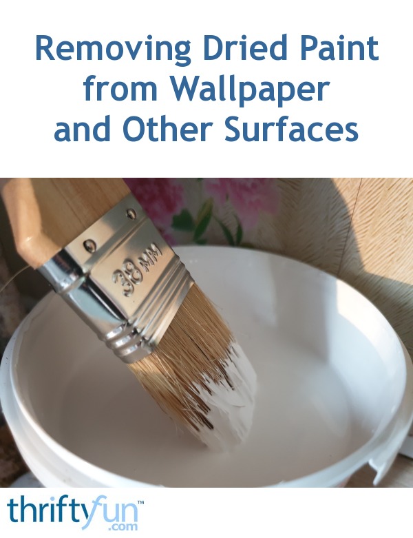 Removing Dried Paint from Wallpaper and Other Surfaces ThriftyFun