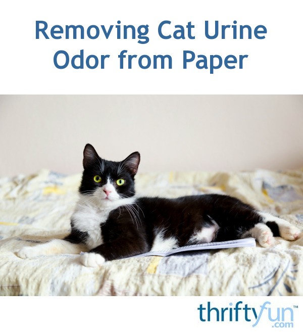 Removing Cat Urine Odor from Paper? ThriftyFun
