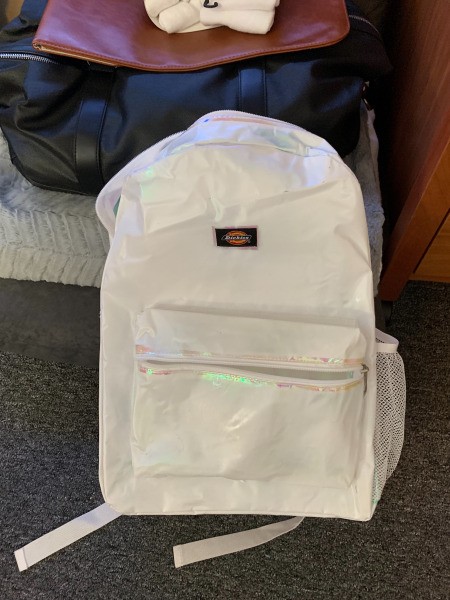 Painting a Clear PVC Backpack  - painted white