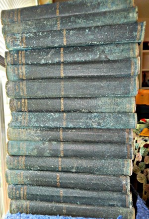 Value of a 1902 Set of Collier's Encyclopedias - stack of volumes