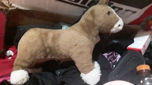 Identifying an Old Stuffed Horse - horse in current state