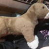 Identifying an Old Stuffed Horse - horse in current state