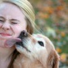 A dog licking a girl in the face.