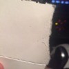 Tiny Black Biting Bugs - specks on a piece of white paper