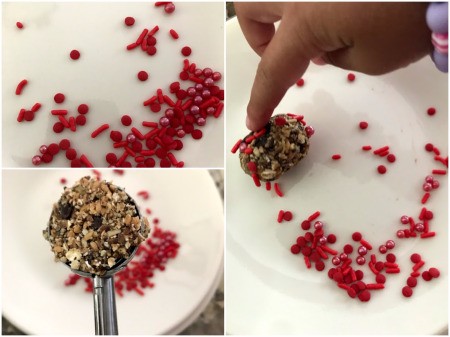 No Bake Cookie Balls