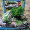 An old wooden painted chair being used as a decorative planter.