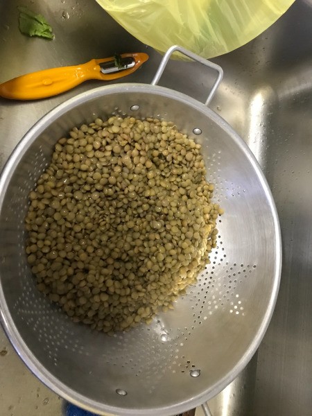 draining lentils